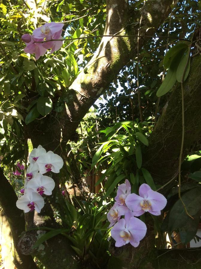 Canto Do Sabia การาอิวา ภายนอก รูปภาพ